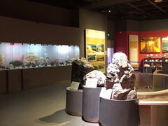 -陕西自然博物馆