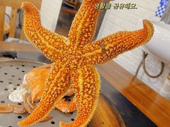 海星-九层海鲜塔(市南店)