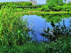 -洋湖国家湿地公园