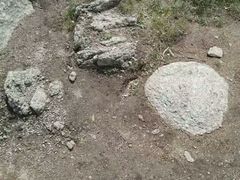 -王顺山国家森林公园