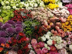 -双季花艺园艺市场(浦东店)