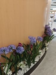 -天津伊美尔医疗整形美容专科医院