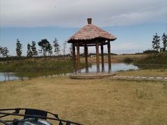 -春花秋色城市公园