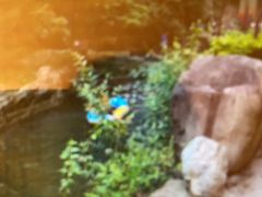 -将军关探险漂流