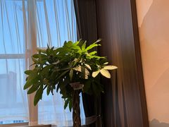 -莆鑫海鲜城(浏河店)