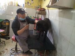 -酷狗靓猫宠物·洗护·美容·寄养(航北路店)