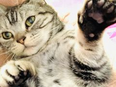 -平行世界·猫咖(首经贸店)