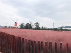 -羊亭河湿地公园