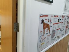 -宠福鑫动物医院(望京分院)