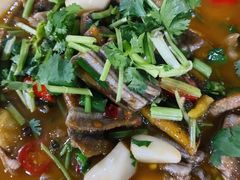 红烧鳝鱼-苏记溪河鲢鱼庄(天府新区店)
