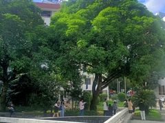 -闽江学院(工业路校区)