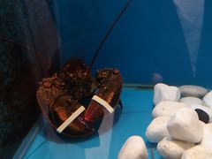 -北京华彬费尔蒙酒店·刃餐厅
