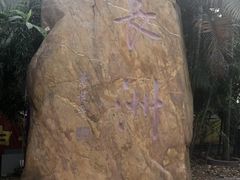 -长洲渡车船码头