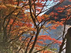 -四明山国家森林公园