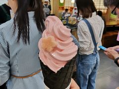 -無邪日式甜品(华润五彩城购物中心店)