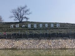 -浮槎山