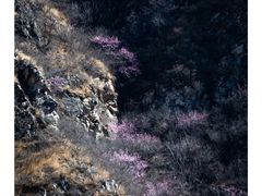 -圣莲山风景区