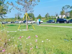 -汉长安城未央宫国家考古遗址公园