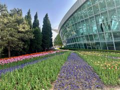 -石家庄市植物园