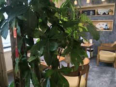 -艾柏堂8090经络·艾灸养生(御庭府邸店)