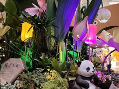 -渡娘火锅(大兴大悦春风里店)