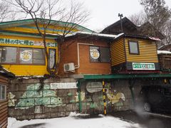 -宫城藏王狐狸村