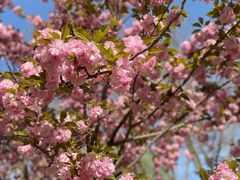 -远洋未来广场(育慧北路店)