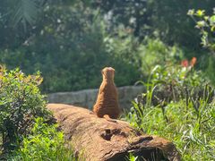 -云南野生动物园