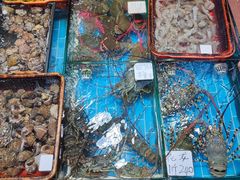 水产区-船奇蒸汽海鲜·闽菜(八市海鲜总店)