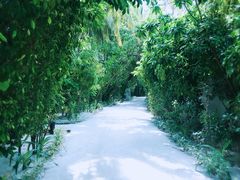 -中央格兰德岛温泉度假酒店 - 全包