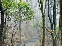 -梧桐山风景名胜区