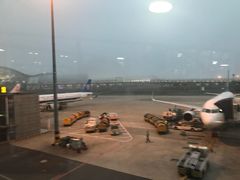 -上海浦东国际机场-T2航站楼