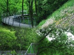 -西湖风景区-江洋畈生态公园