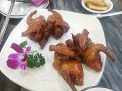 -鸽鸟轩(石岐店)