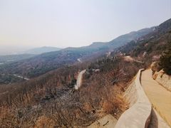 -北京西山国家森林公园