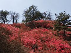 -木兰云雾山