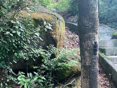 -火炉山森林公园
