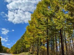 -塞罕坝国家级自然保护区