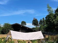 -侘山民宿(杭州西湖龙坞店)