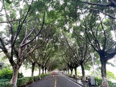 -风云岭森林公园