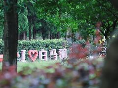 -白马涧龙池景区