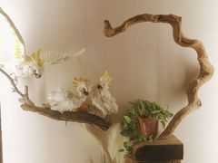 -路小缦·珍馐美馔(市心北路店)