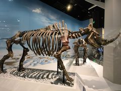 -国家自然博物馆