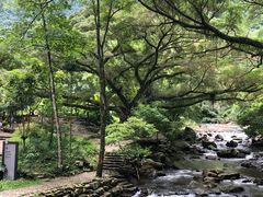 -广州市石门国家森林公园