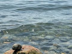 -银沙滩浴场