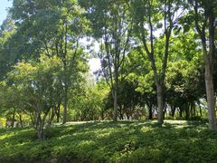 -枫桥景区