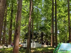 -黄海国家森林公园