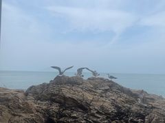 -摩天岭风景区