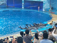 -多彩贵州城极地海洋世界