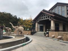 -斯瑞特国际酒店